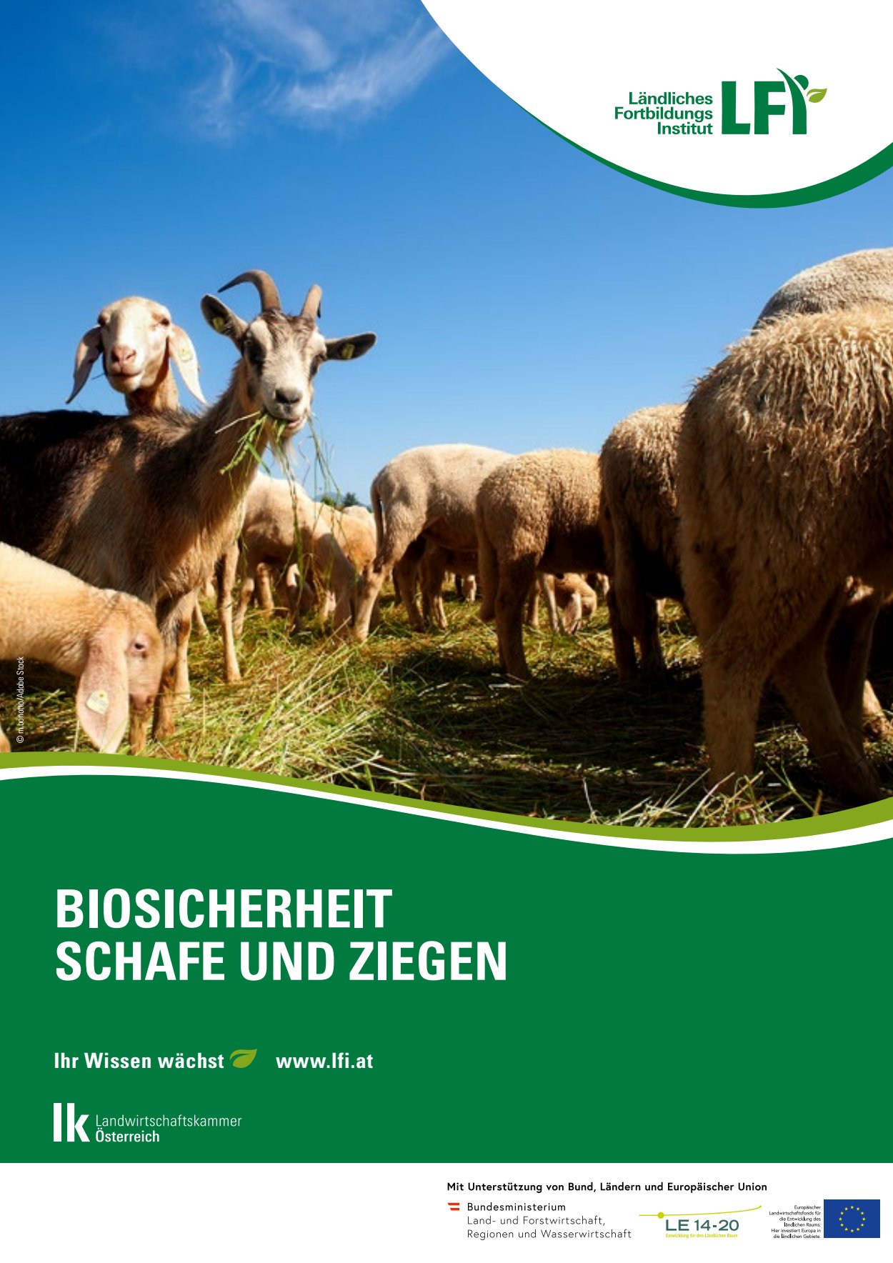 [webcatalog=2866706]